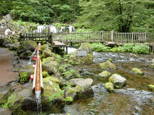 名水公园景点图片