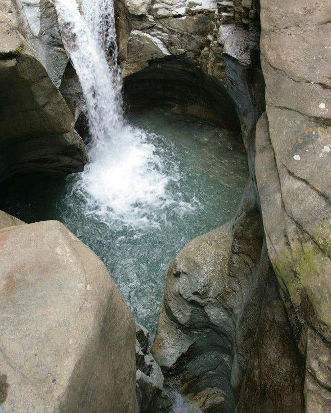 The Cavaglia Glacier Garden景点图片