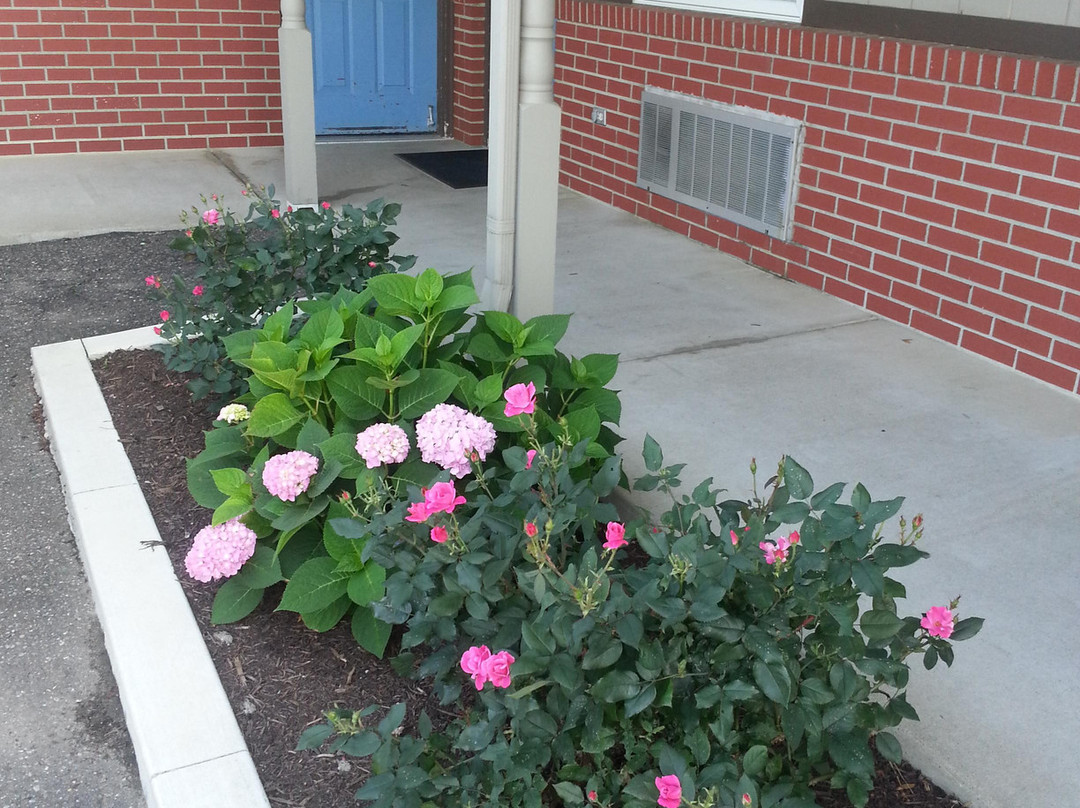 Berlin Village Inn主图