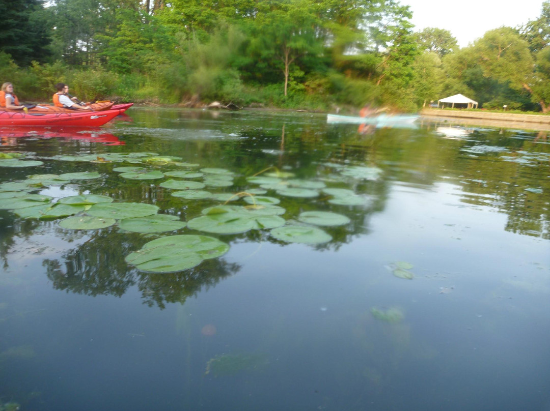 Harbourfront Canoe & Kayak Centre景点图片