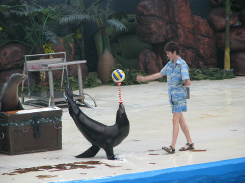 海昌极地海洋世界-天津市必去景点