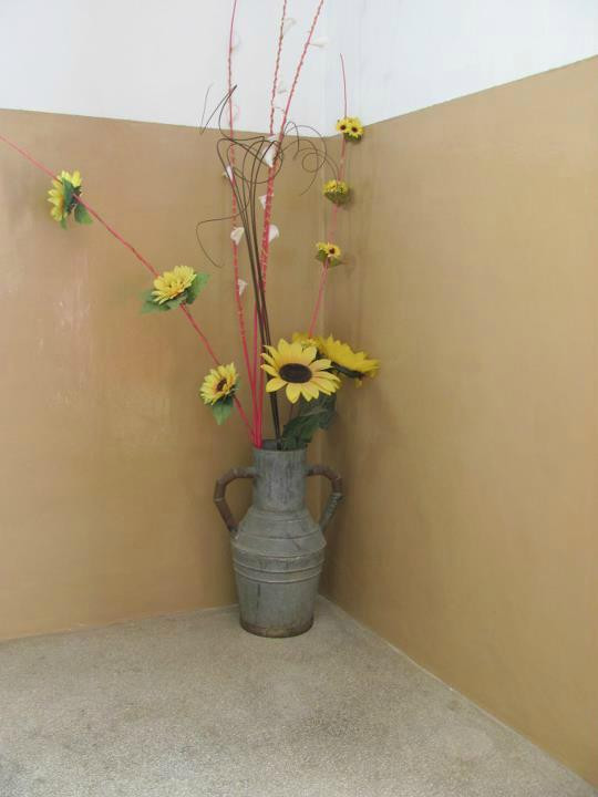 B&B Camera a Sud主图