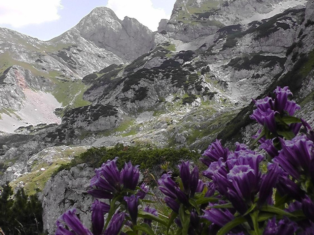 Green Visions-萨拉热窝必去景点