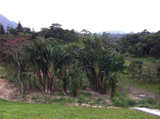 兴隆热带花园-万宁市必去景点