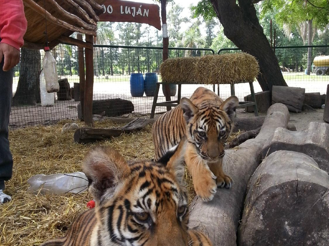ZOO Lujan景点图片
