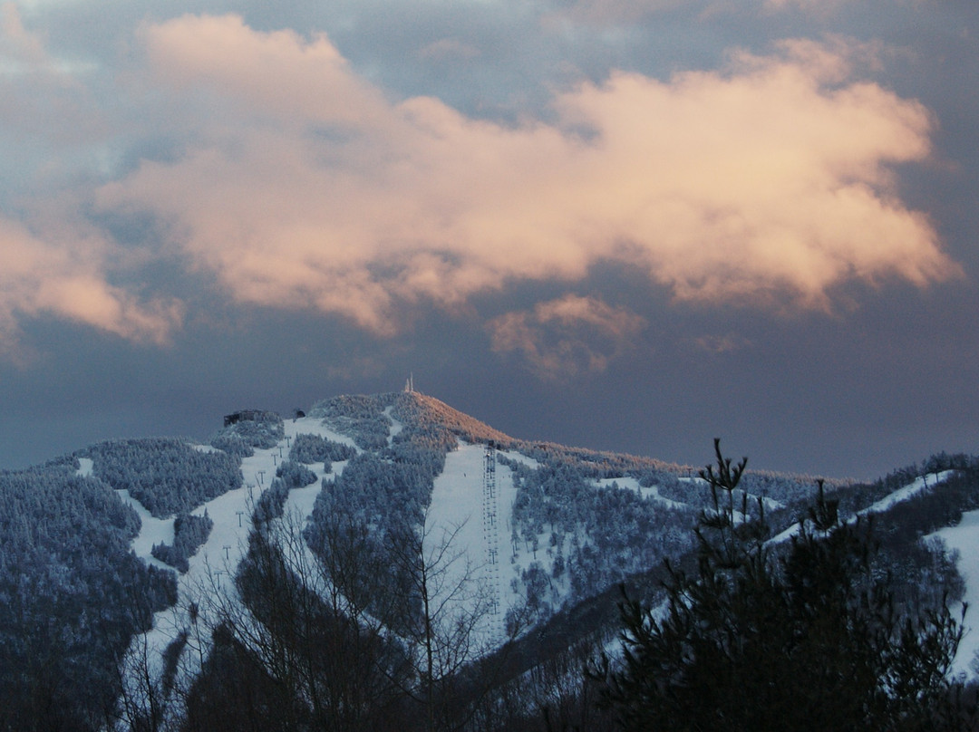 Black Dog Sports-基灵顿必去景点