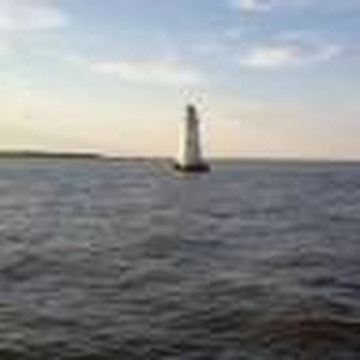 Captain Derek's Dolphin Adventure-泰碧岛必去景点