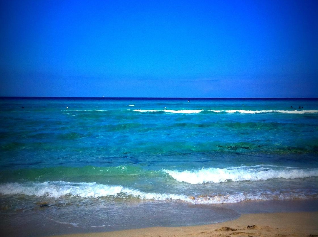 Lido Zen-加里波利必去景点