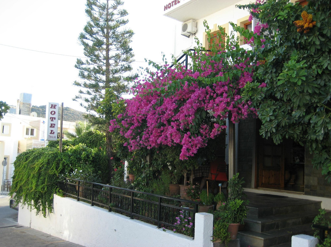 Hotel Thalia Palekastro主图