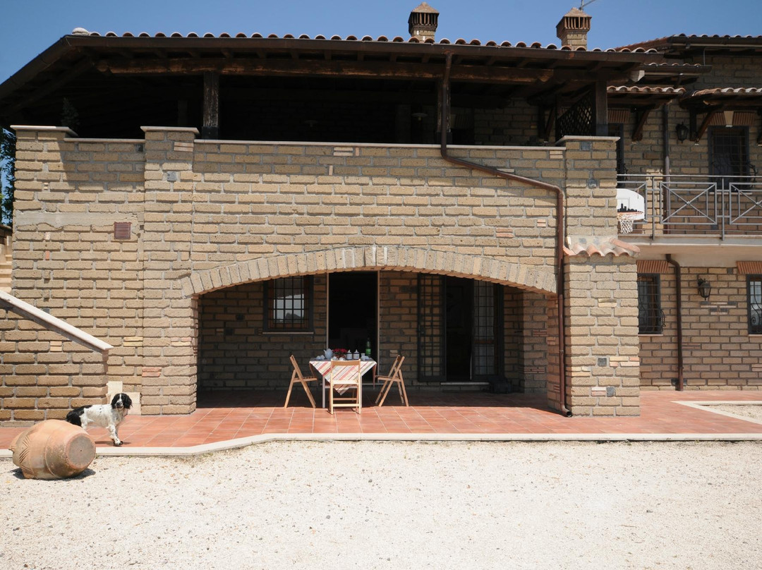 B&B Le Colline Country House主图