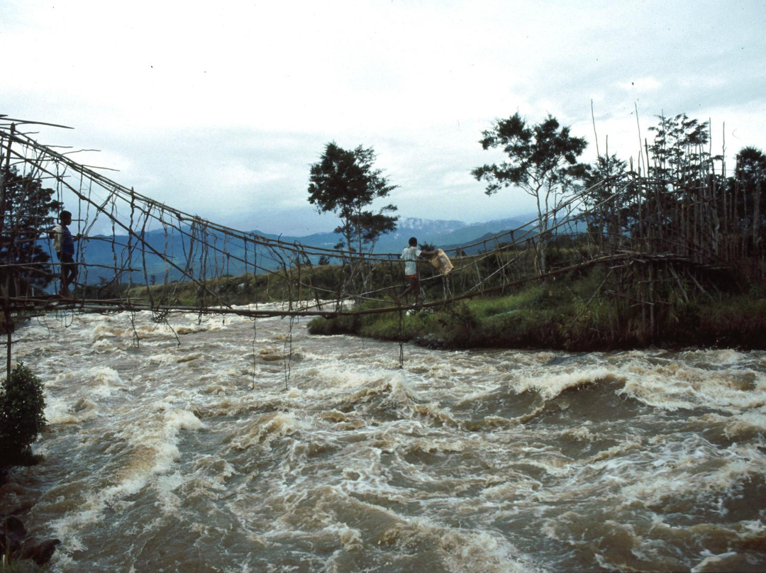 Sinatma Suspension Bridge-瓦梅纳必去景点