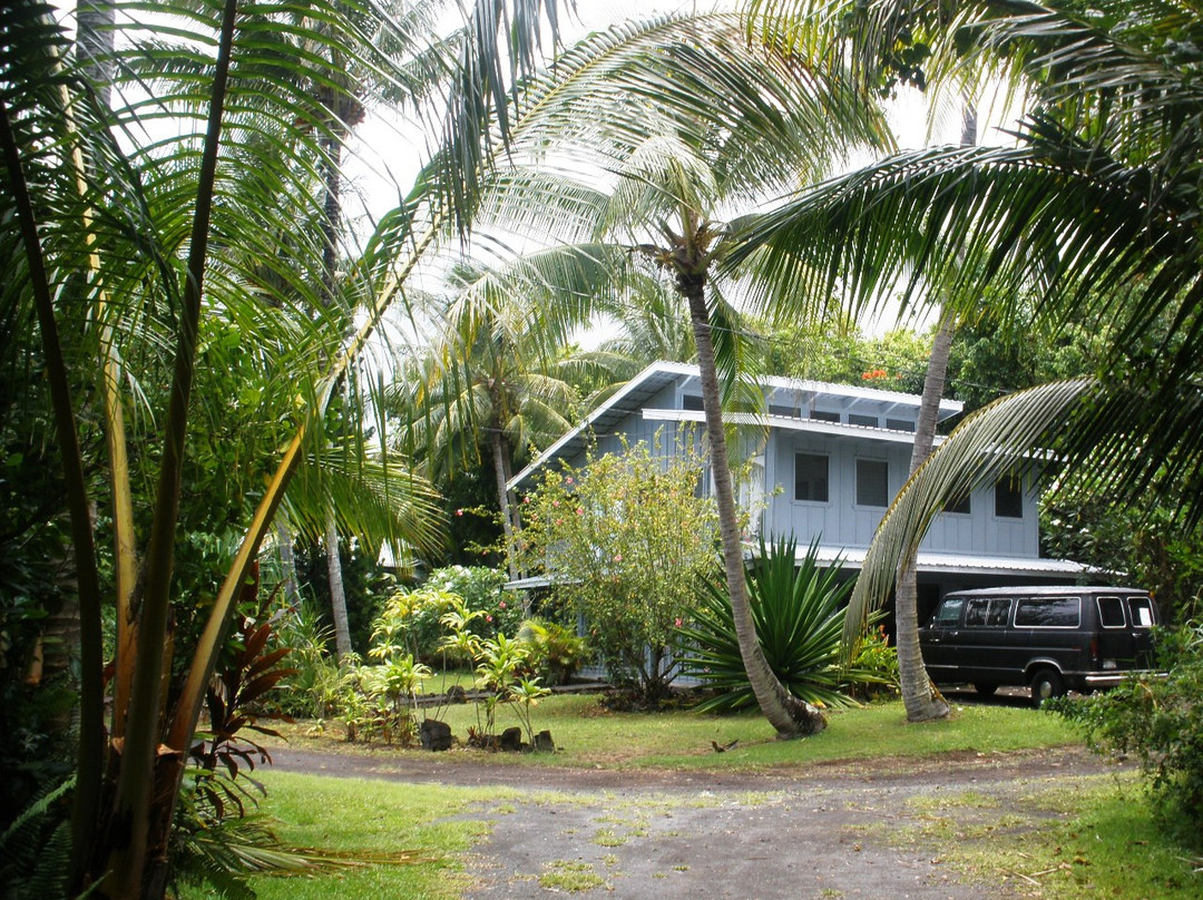 Island Wellness Retreat