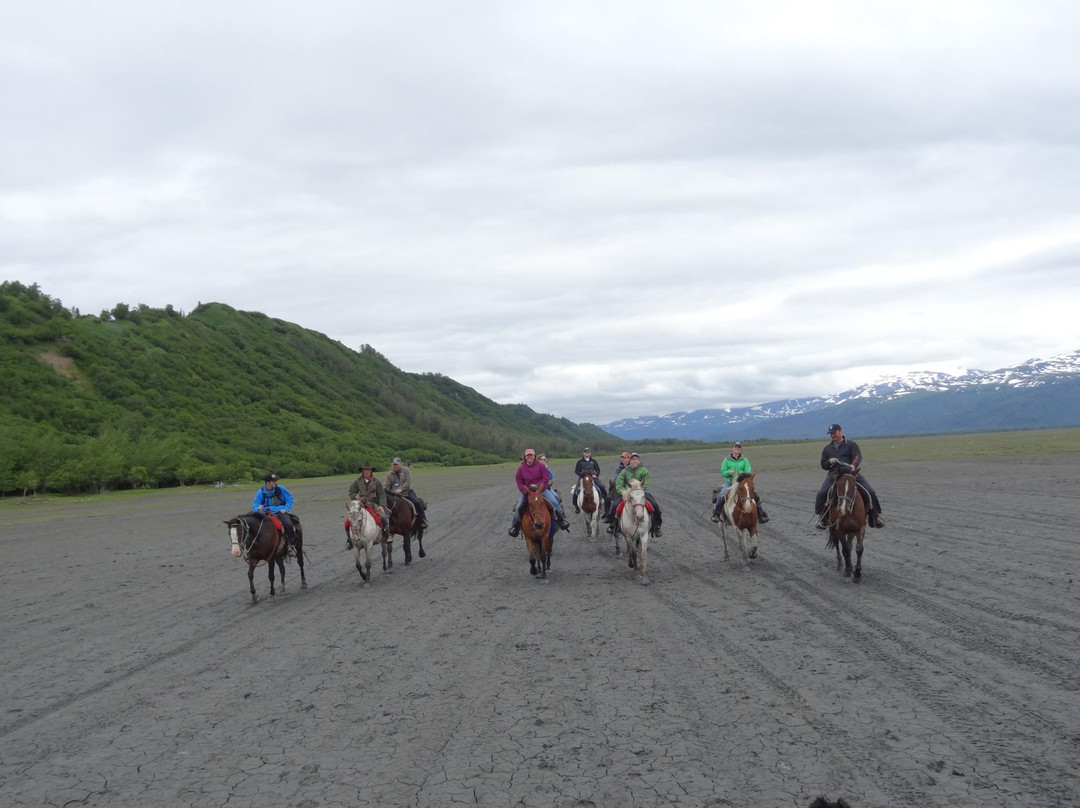 Trails End Horse Adventures-荷马必去景点