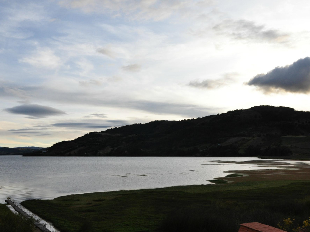 Hotel Decameron Camino Real主图