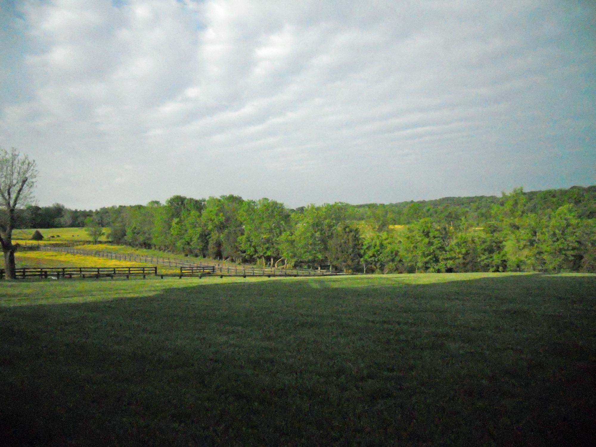 Inn at Kelly's Ford-酒店景观