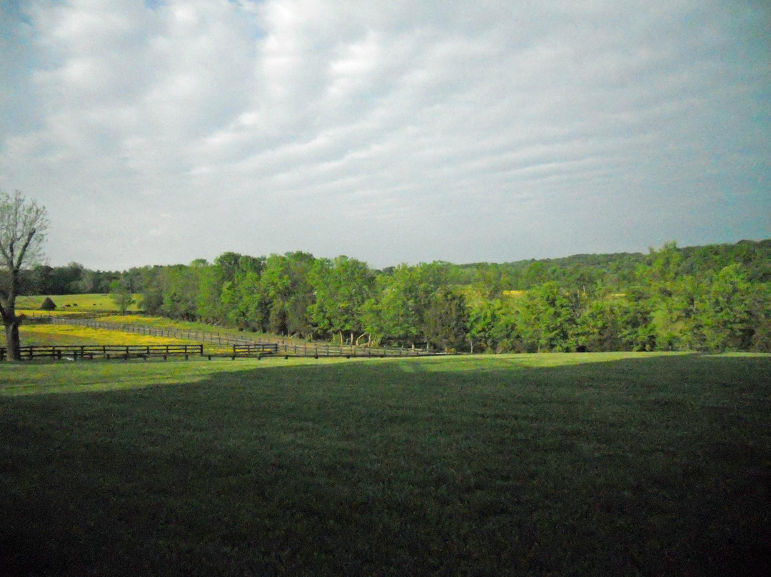 Inn at Kelly's Ford主图