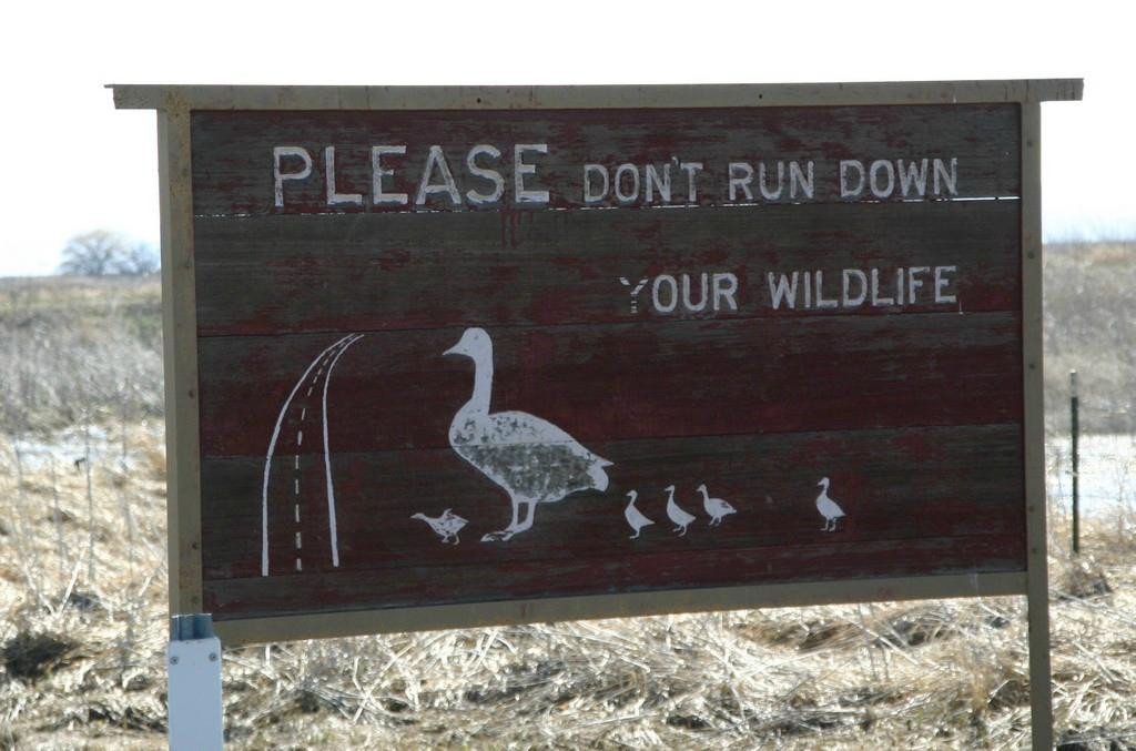 Tule Lake National Wildlife Refuge-Tulelake必去景点