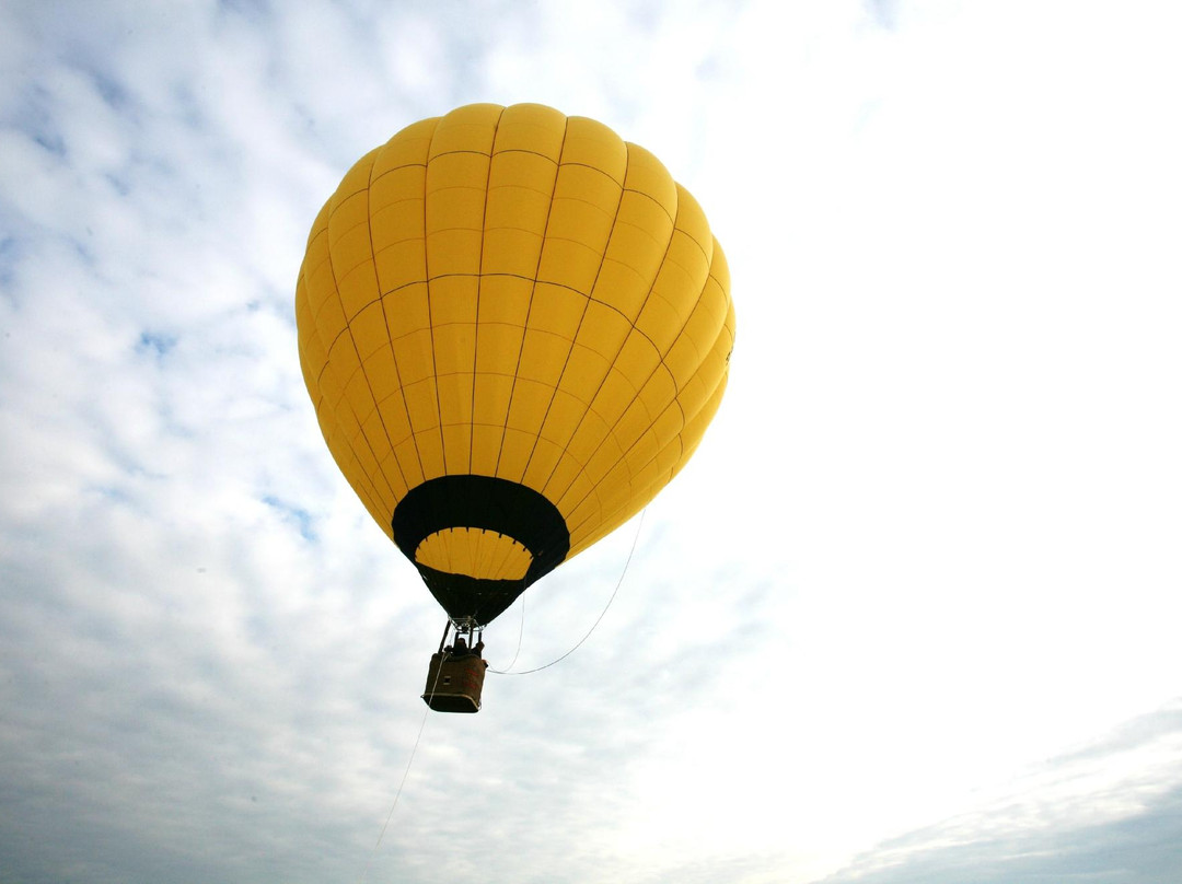 Montgolfieres de Falaise景点图片