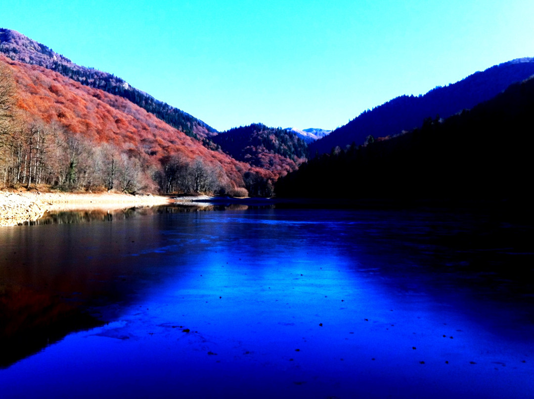 Biogradska Gora-Kolasin Municipality必去景点