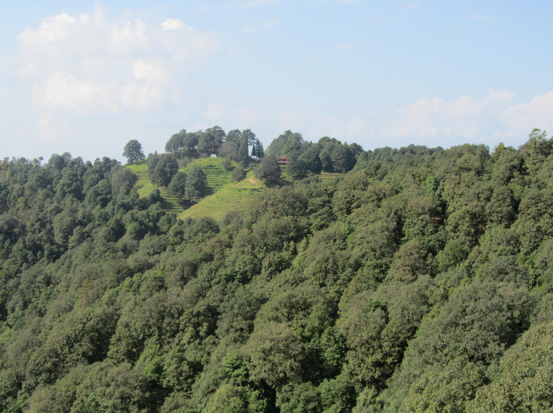 Binsar Wildlife Sanctuary景点图片