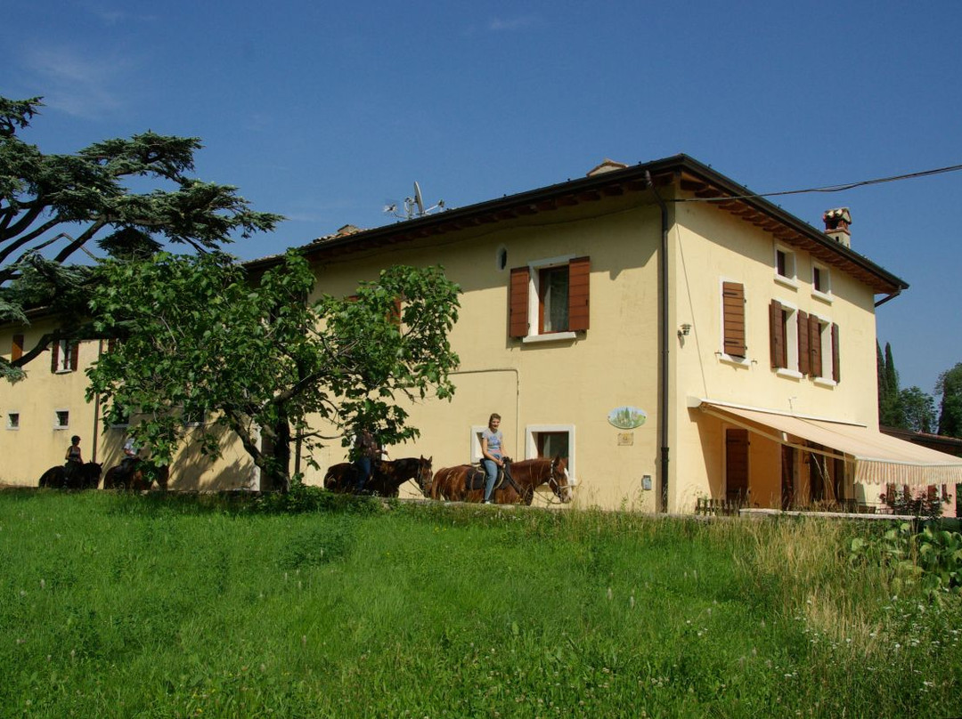 Cecina酒店住宿-Agriturismo Cervano
