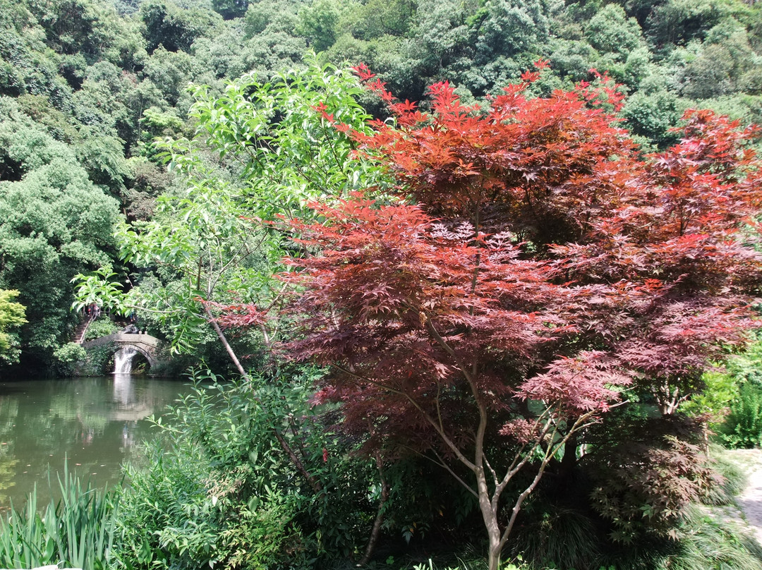 九溪十八涧-杭州市必去景点
