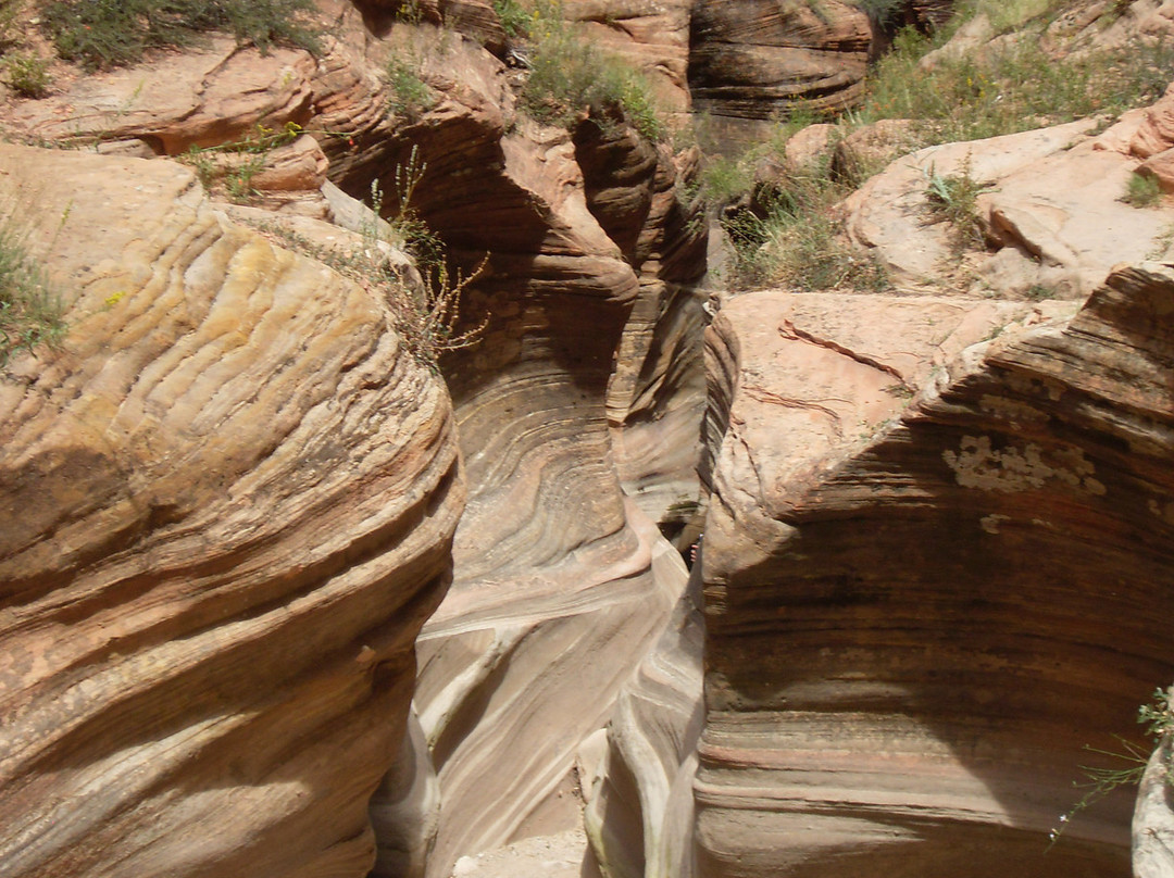 Observation Point-锡安国家公园必去景点