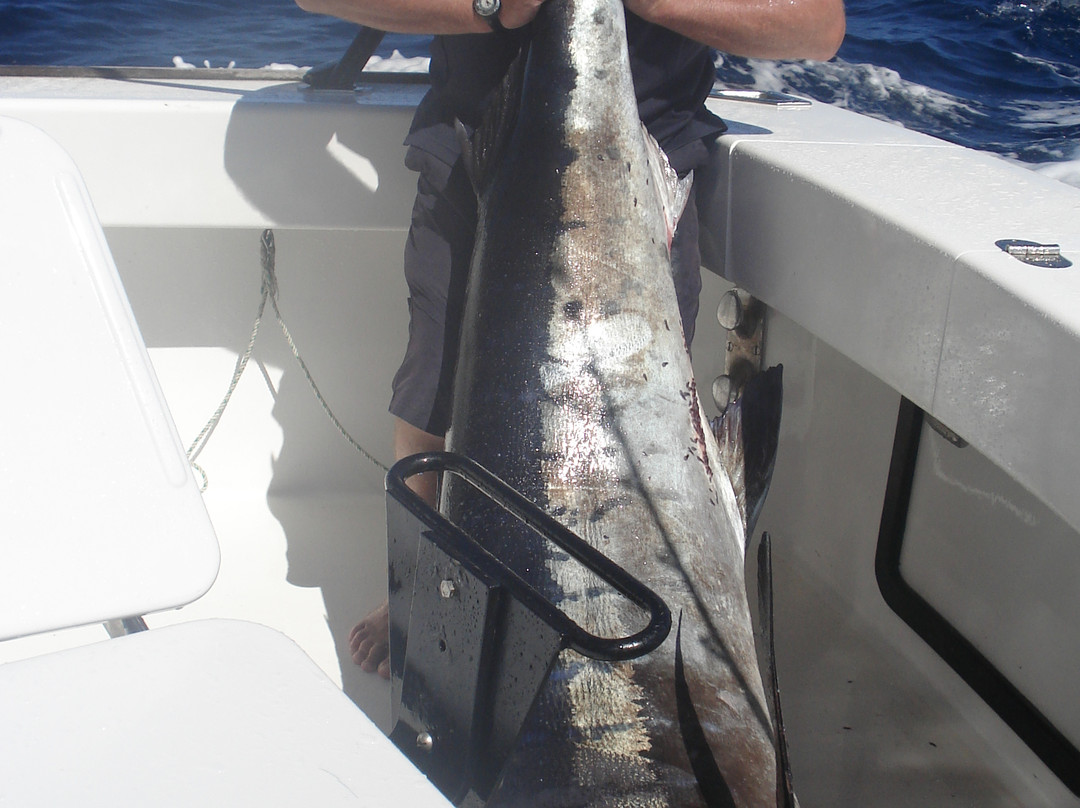 Strayline Fishing Charters-派希亚必去景点