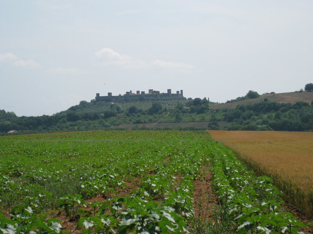 Wine Tour Adventure-蒙特里久尼必去景点