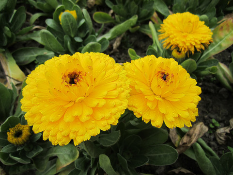 金山城市沙滩-上海市必去景点