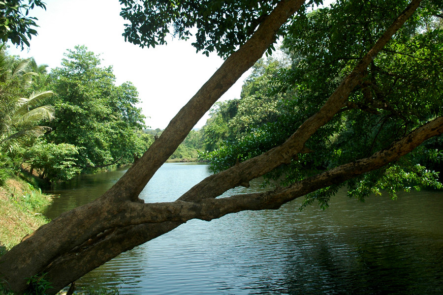 Dewalokam Farmstay Retreat