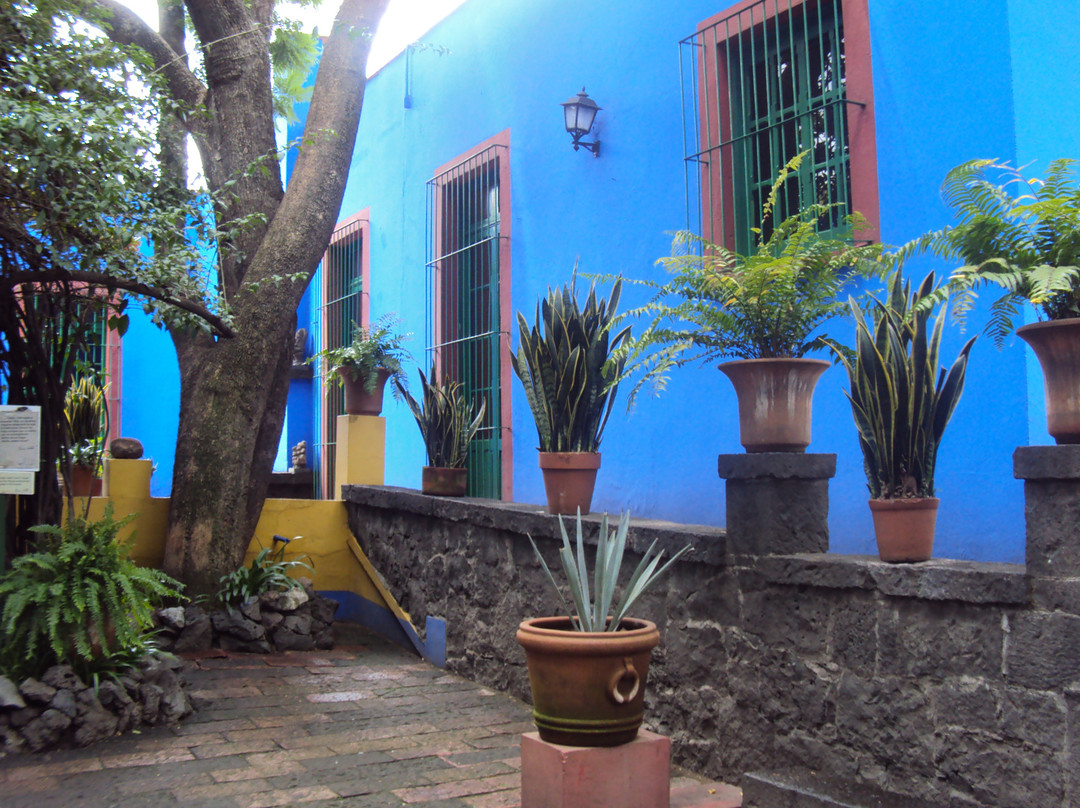 墨西哥城旅游景点-卡萝博物馆