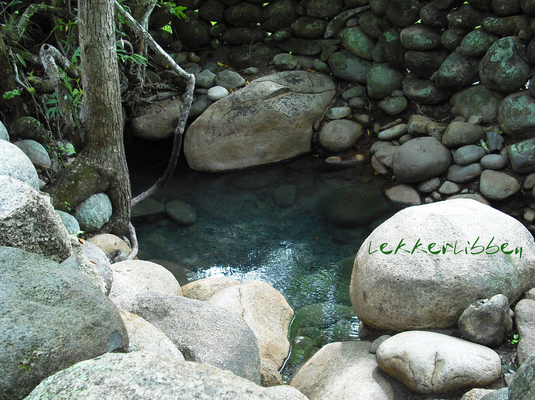 Caldera Hot Springs景点图片