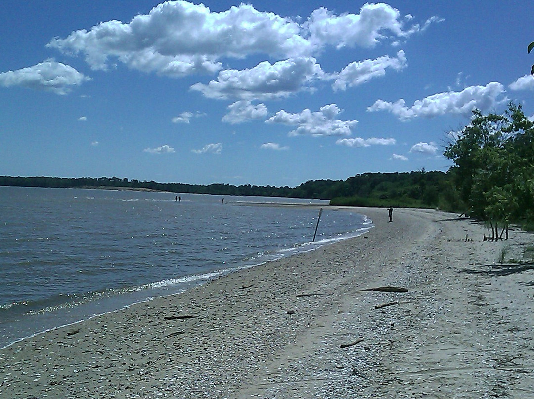 Chippokes State Park-Surry必去景点