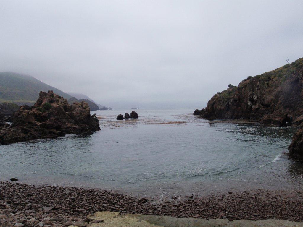 Baja Blue Diver-恩塞纳达必去景点