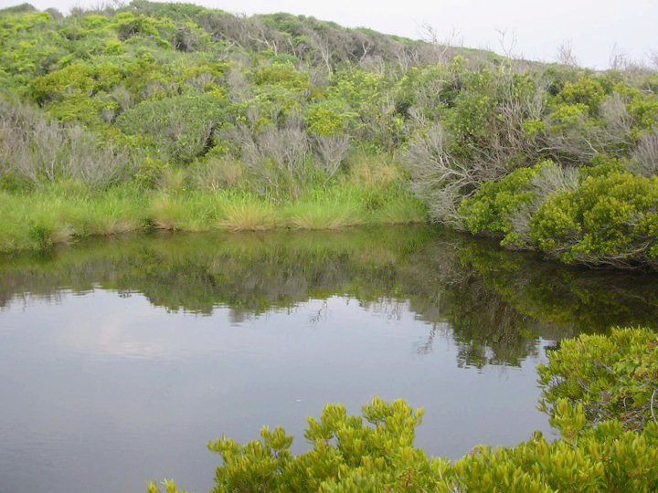 North Pond Trail景点图片