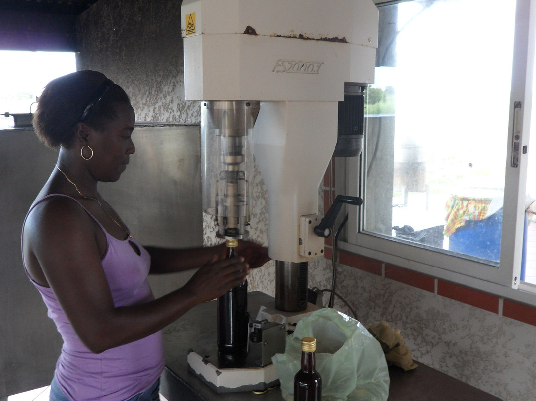 Les Delices de Siblet-Grand Bourg必去景点