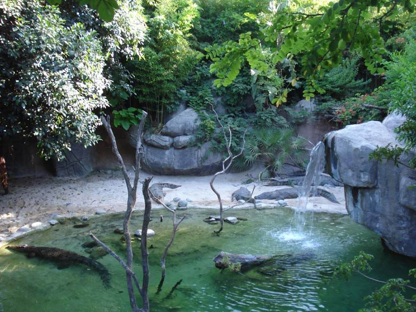 Bioparc Fuengirola-福恩吉罗拉必去景点