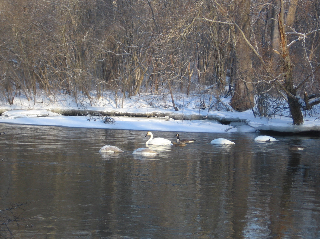 Matthaei Botanical Gardens-安娜堡必去景点