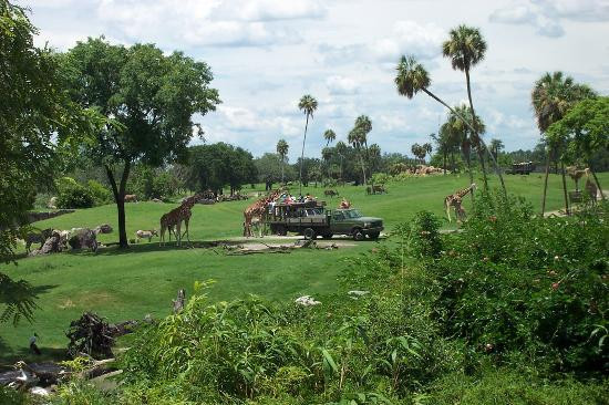 布什花园-坦帕必去景点