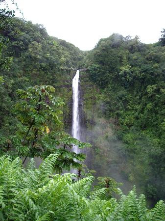 阿卡卡瀑布州立公园-希洛必去景点