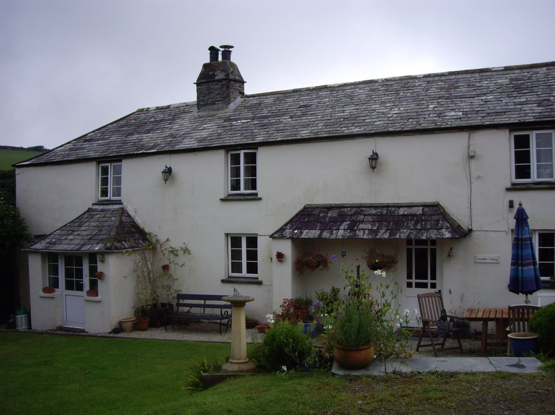 Lavender Cottage