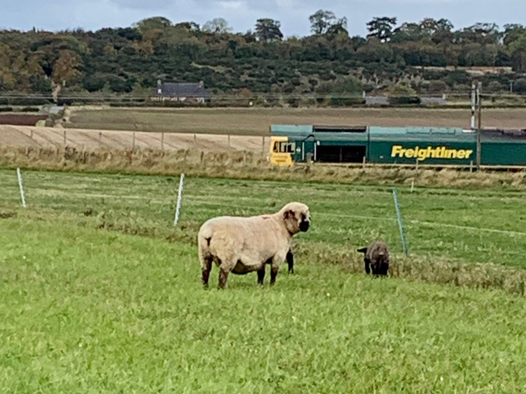 The Brand Family, East Fortune Farm