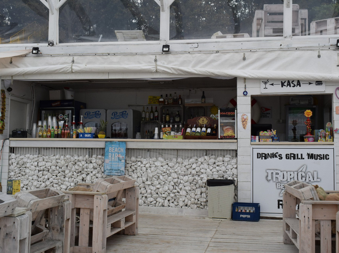 Tropical Beach Bar