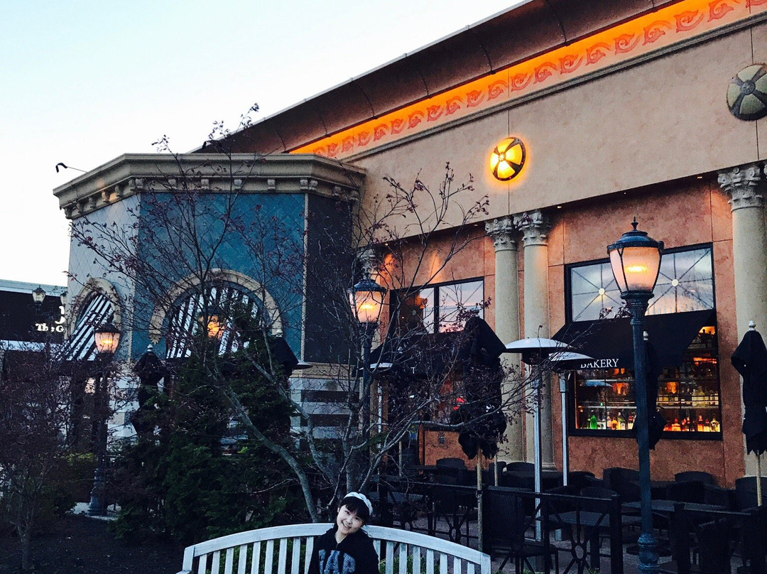 切里希尔餐馆和美食-The Cheesecake Factory