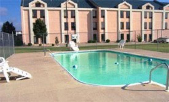 飘鹰大酒店主图