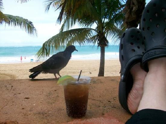 Kayaking Puerto Rico | Snorkeling & Bio Bay Tours-Las Croabas必去景点