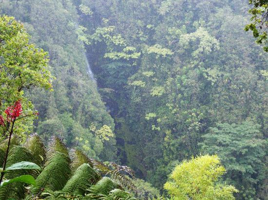 阿卡卡瀑布州立公园-希洛必去景点