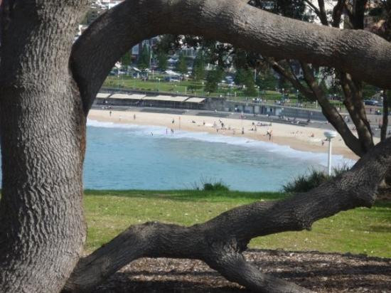 库基海滩-悉尼必去景点