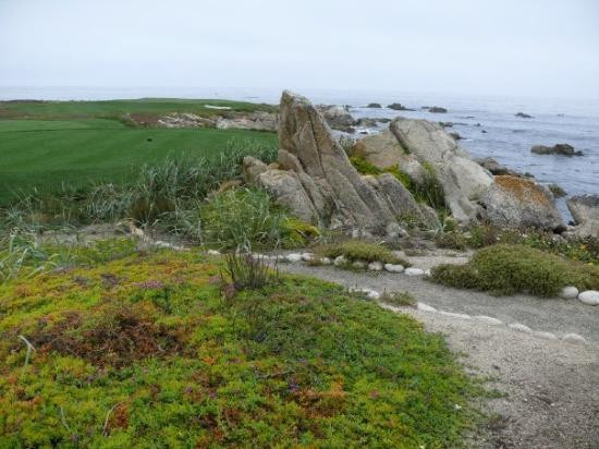 Pebble Beach Golf Links-圆石滩必去景点